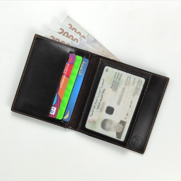 Portefeuille USA-01 & 6 Cartes